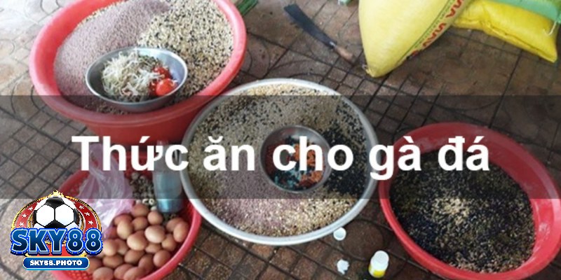 Sản Phẩm Ủ Thức Ăn