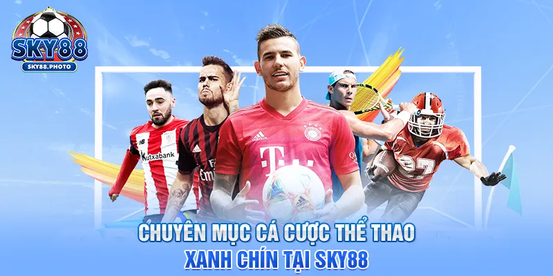 Chuyên mục cá cược thể thao xanh chín tại SKY88